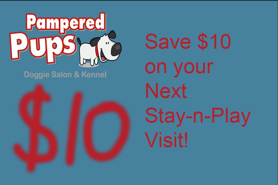 a $10 coupon for Stay-n-Play 