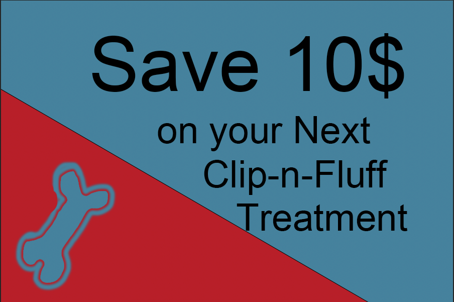 a $10 coupon for Clip-n-Fluff