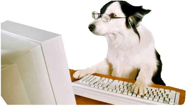 a dog on a computer