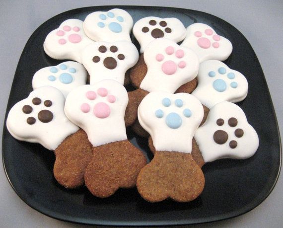 a plate of dog treats