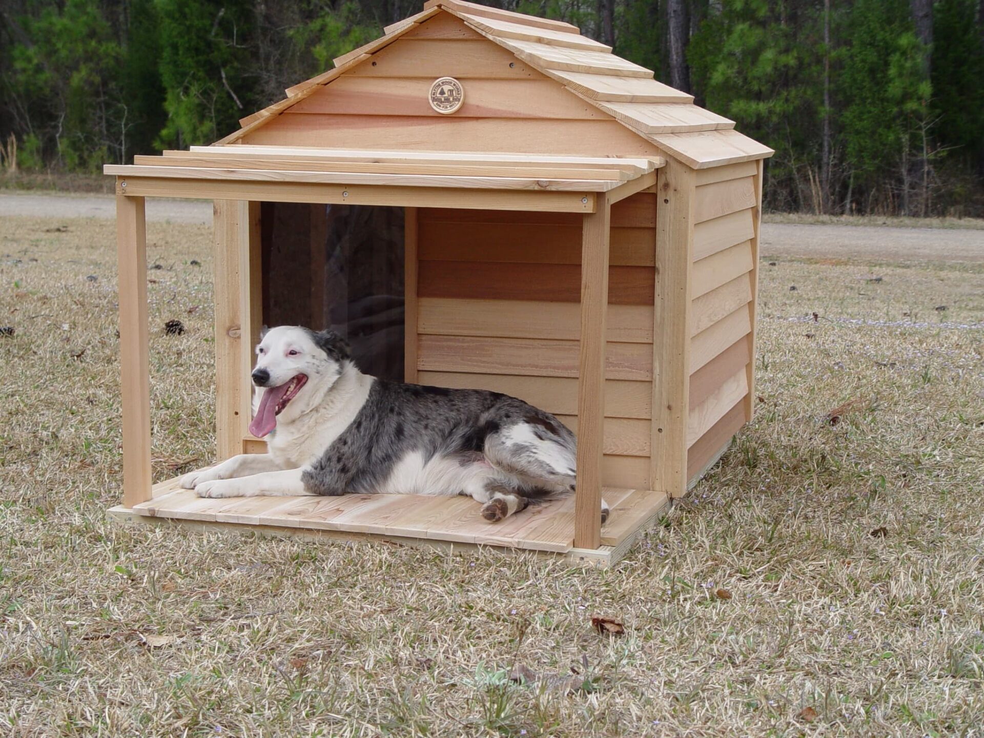 dog sitting in a wooden doghouse