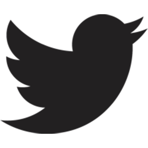 dark twitter logo