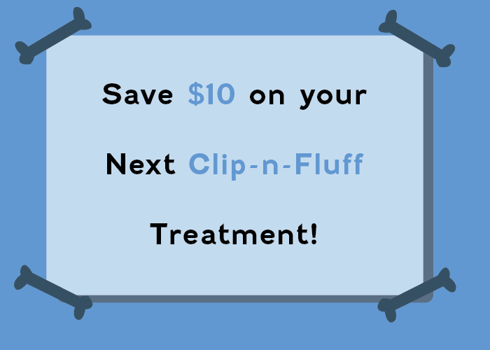 a Pampered Pups coupon to save ten dollars on Clip-n-Fluff treatment