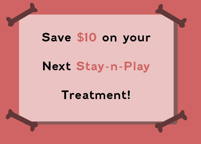 a Pampered Pups coupon to save ten dollars in Stay-n-Play