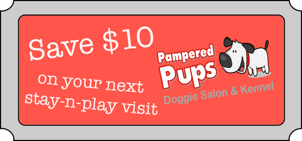 kennel coupon