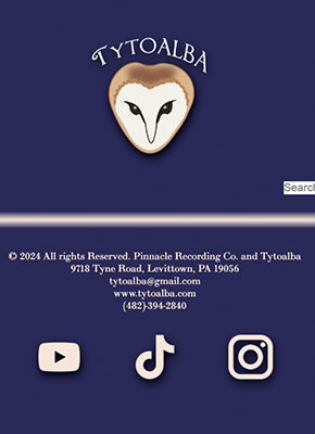 mobile viewport of tytoalba site
