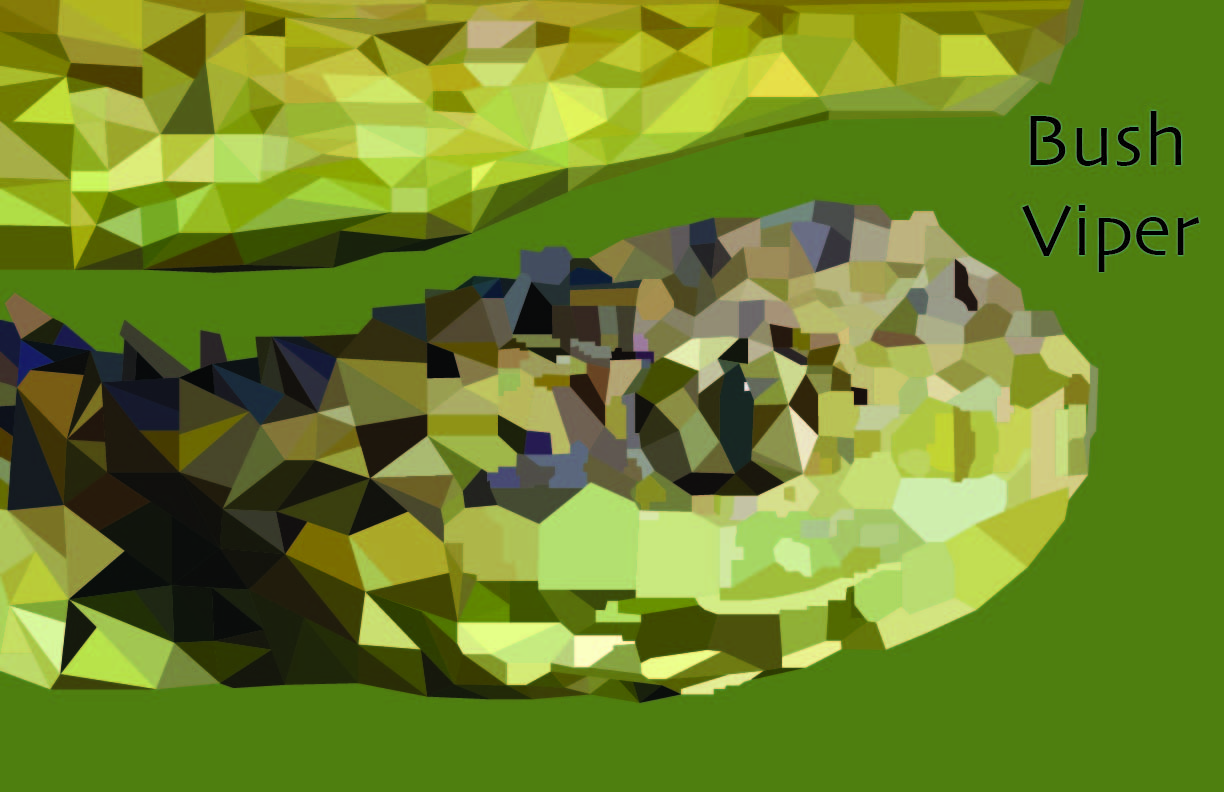 polygon
