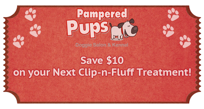 coupon