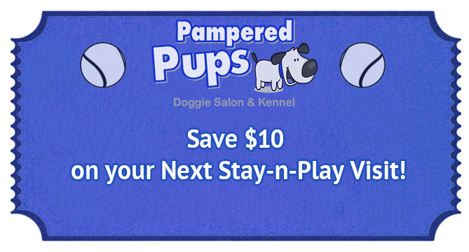 coupon2