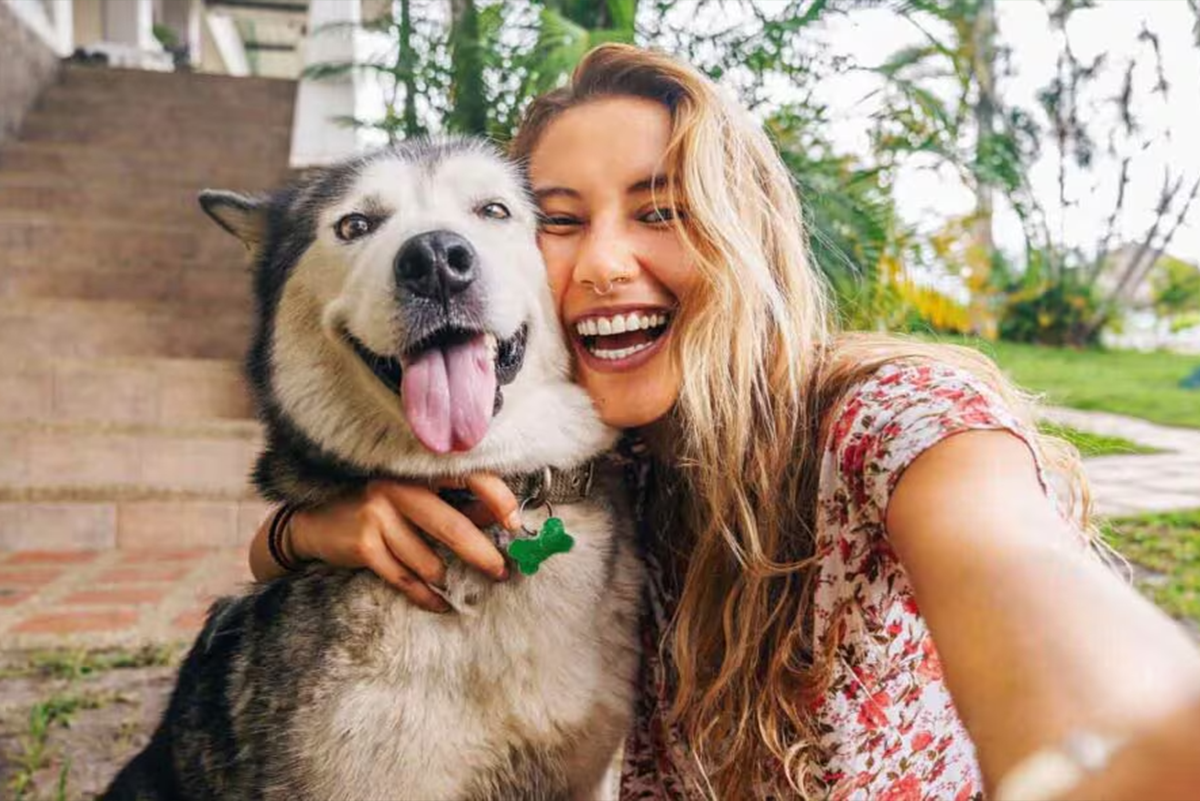 dog3