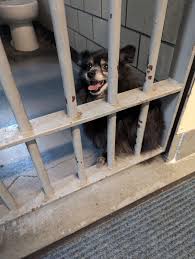jail