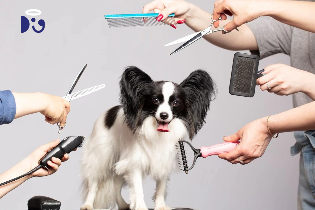 Grooming Service