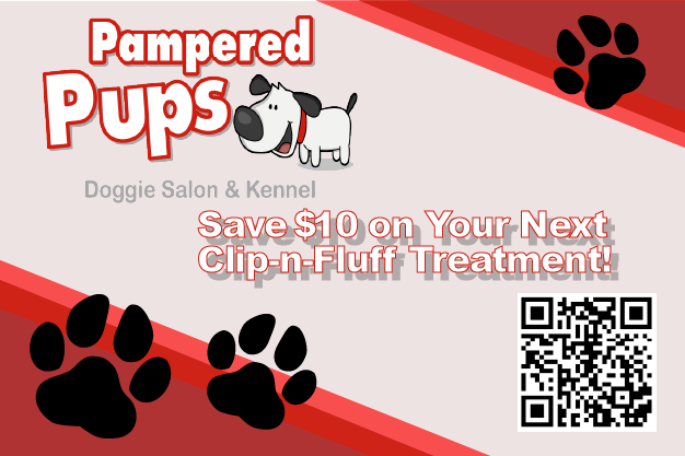 coupon for clip-n-fluff