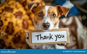 Dog Holding Thank You Sign