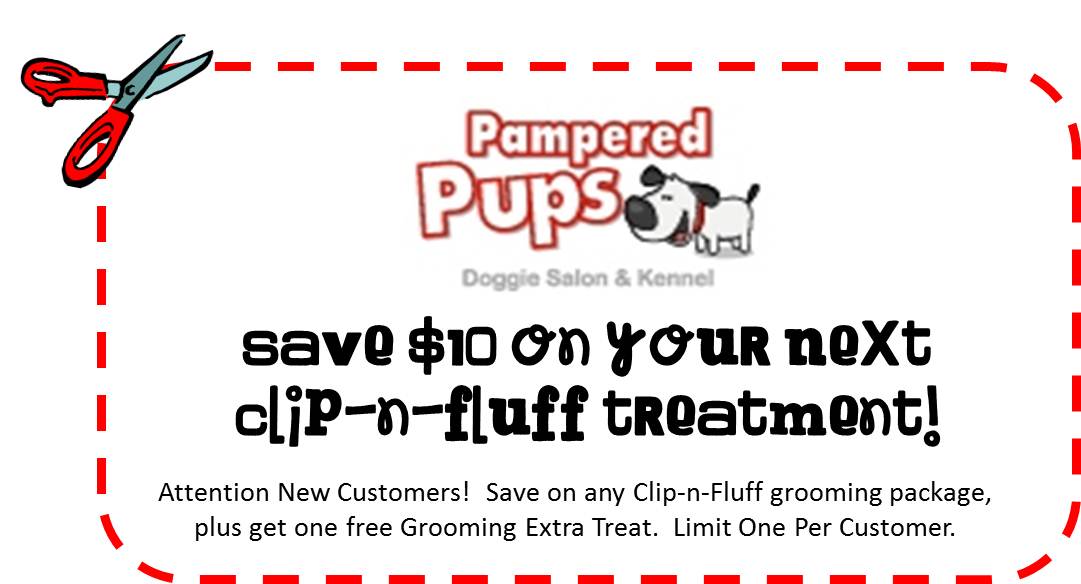 coupon