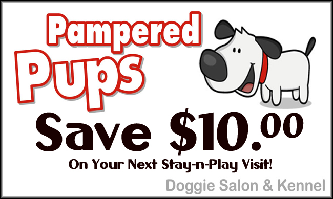 coupon
