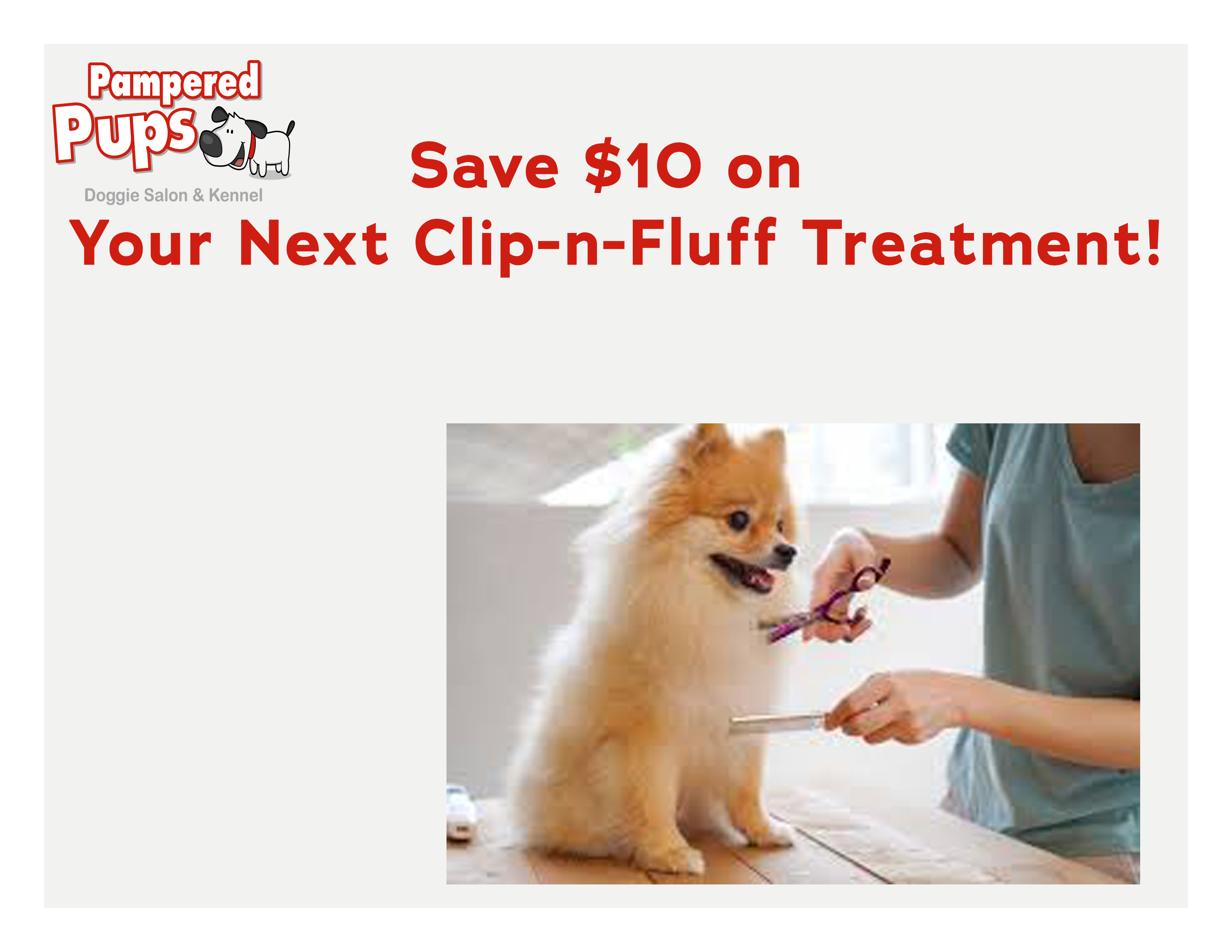 salon coupon