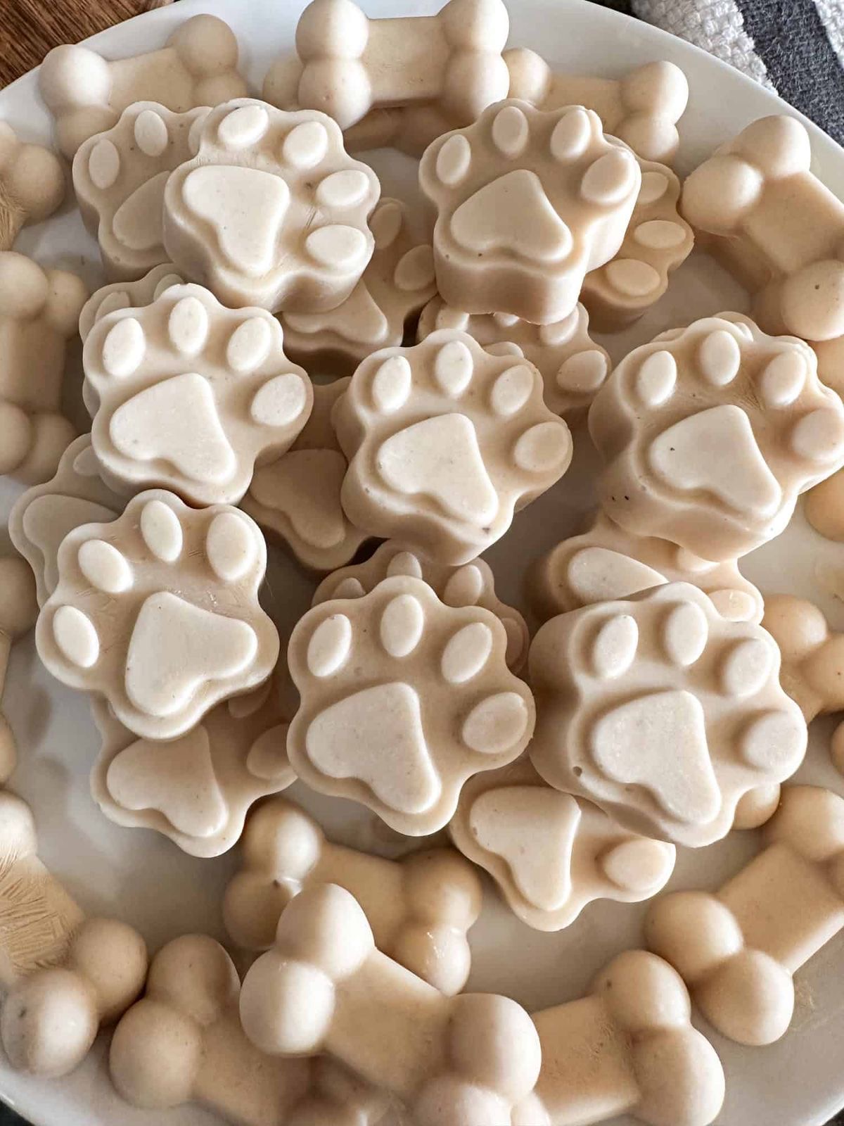 dog treats