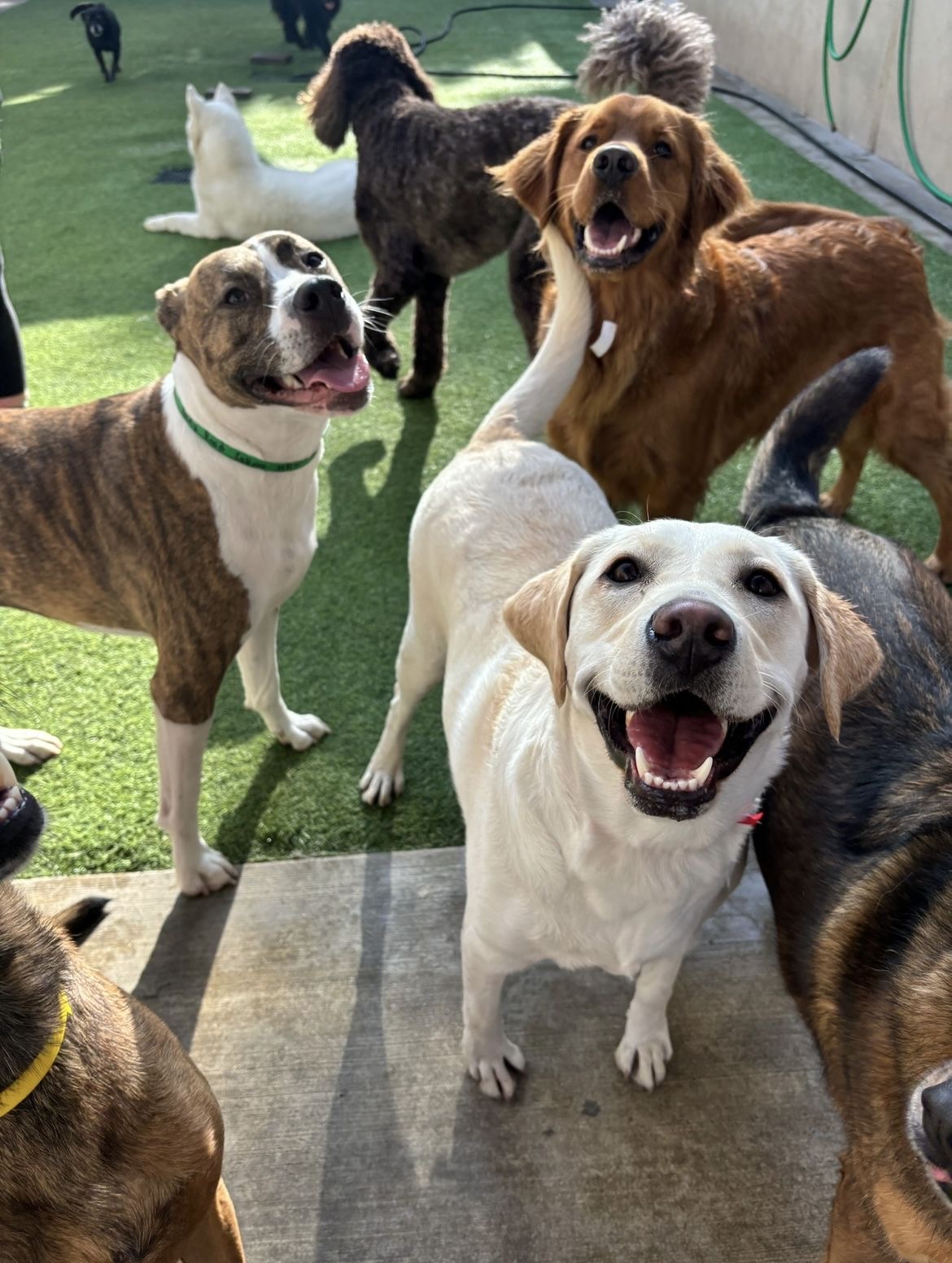 daycare