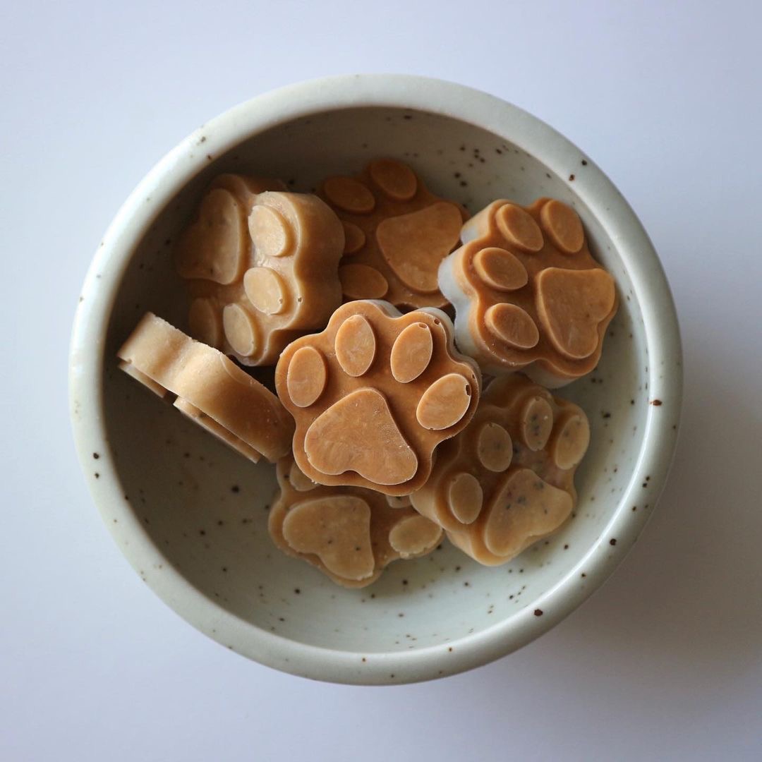 dog treat