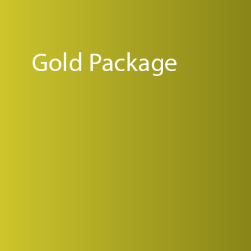 gold package icon