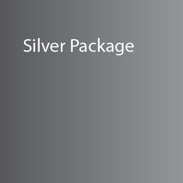 silver package icon
